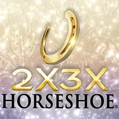 2x3x Horseshoe