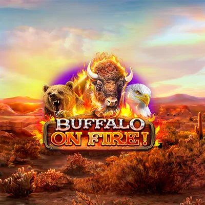 Buffalo on Fire!