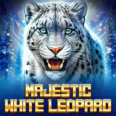 Majestic White Leopard