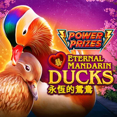 Power Prizes: Eternal Mandarin Ducks